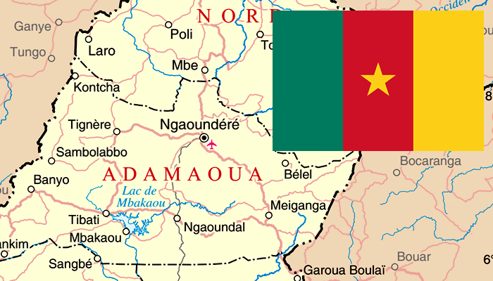 Mapa e Bandeira de Camarões