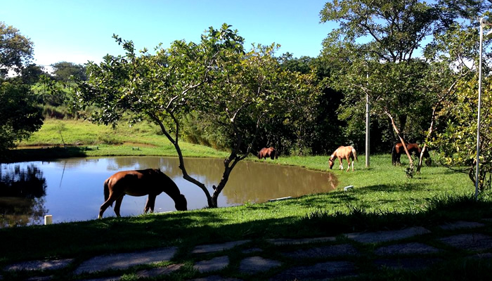 O Hotel Fazenda Águas Vivas, em Pirenópolis: Cavalgada e Pesca