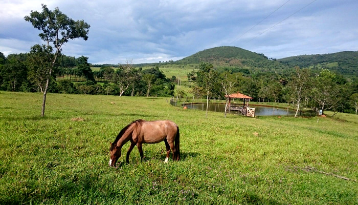 Hotel Fazenda Estância Agnus Dei: Cavalos e Lago