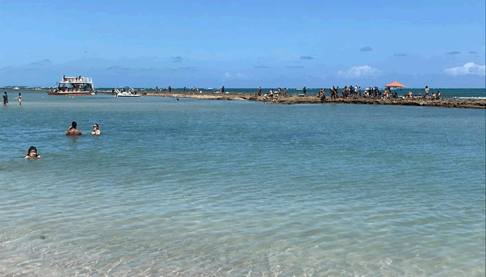 O que fazer na Praia dos Carneiros: Piscinas Naturais