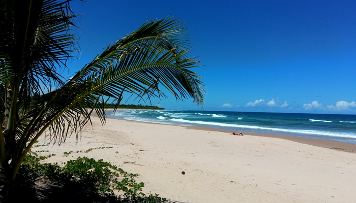 O que fazer na Península de Maraú: Praia de Algodões
