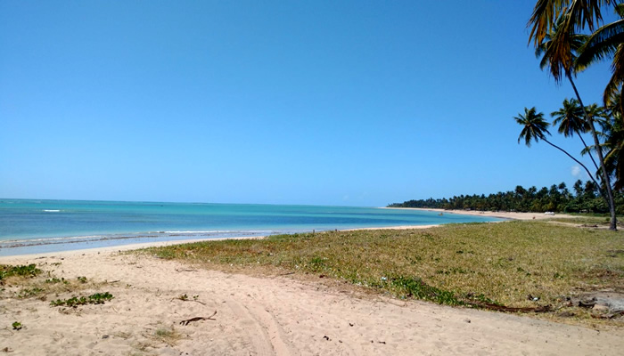 Conheça as praias de São Miguel dos Milagres (AL): Praia de Lages