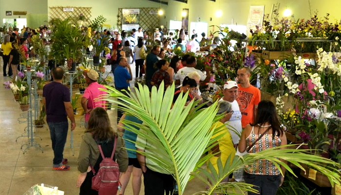 Festas Típicas do Centro Oeste do Brasil: Exposição Nacional de Orquídeas, em Piracanjuba
