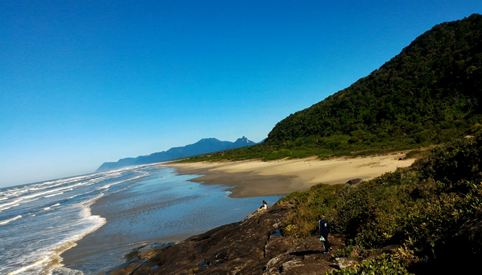 O que fazer na Praia da Barra do Una (São Sebastião/SP): Vegetação de Mata Atlântica na Barra do Una