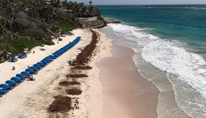 Praias de Areia Rosa pelo Mundo: Praia Rosa de Crane Beach - Barbados