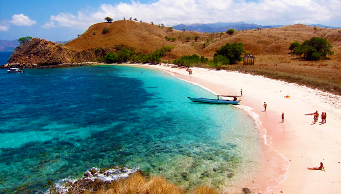 Praia Rosa da Ilha de Komodo – Indonésia