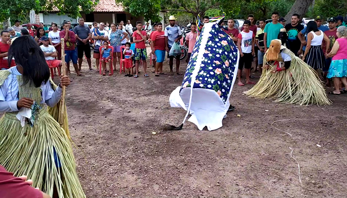 Manifestações Culturais e Danças típicas do Piauí: Reisado