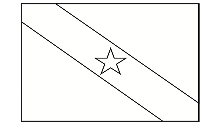 [Para Imprimir] Bandeira do Pará para Colorir (preto e branco)!