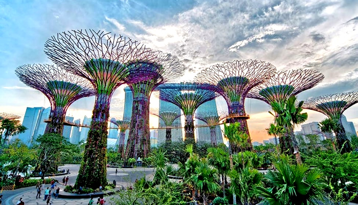 Fatos Interessante sobre os Jardins da Baía, em Singapura
