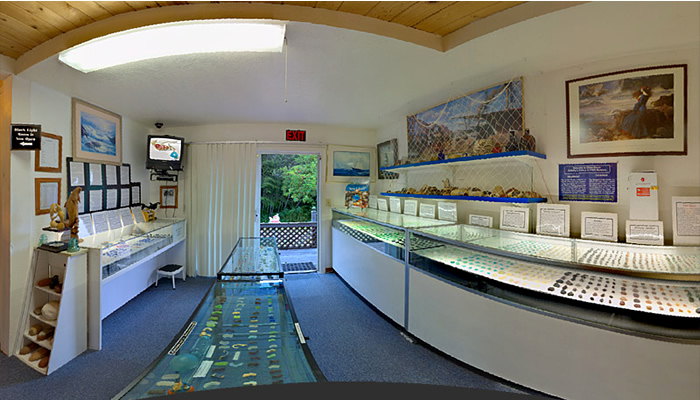 Praia do Vidro, na Califórnia: Museu Internacional do Vidro do Mar