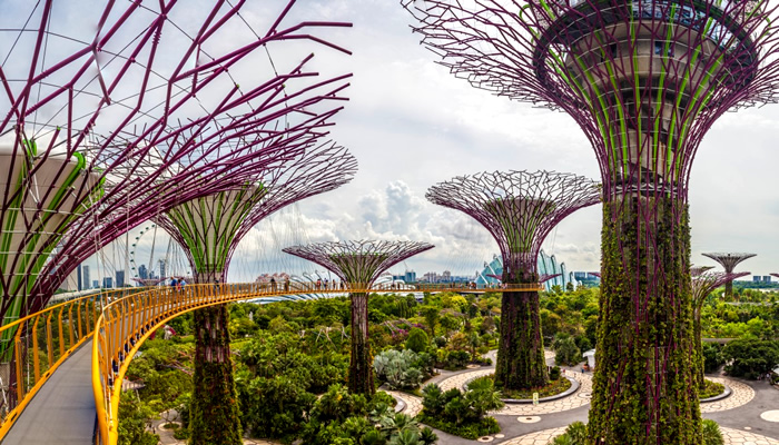 Principais Atrações dos Jardins da Baía, em Singapura: As impressionantes Supertrees