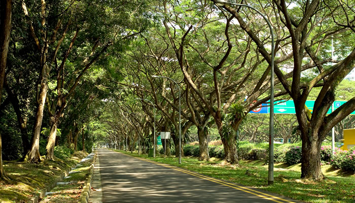 O Que Fazer de Graça em Singapura: East Coast Park