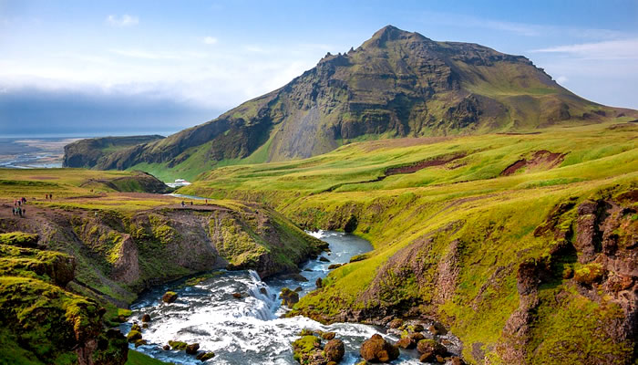Vegetação da Islândia: A Islândia é caracterizada por uma vegetação subártica
