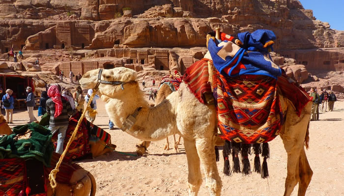 O tráfego de veículos em Petra não é permitido