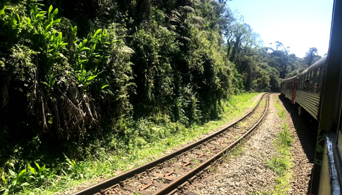 Cidades Históricas do Paraná: Trajeto de trem entre Curitiba e Morretes