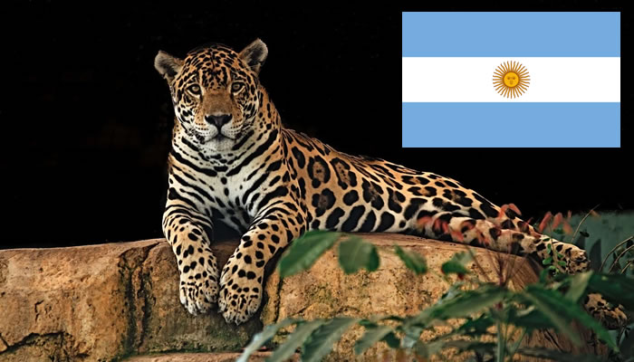 Animais Típicos da Argentina