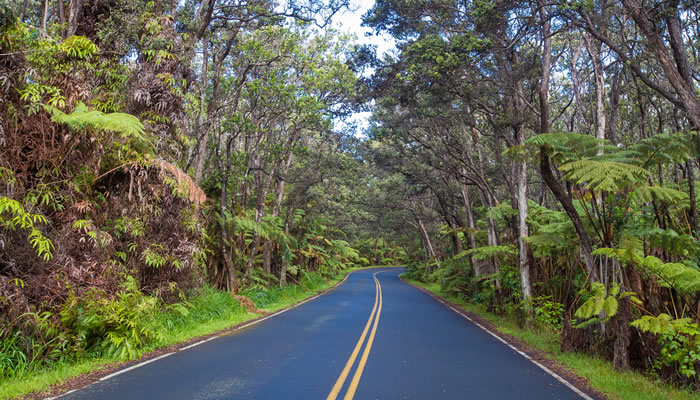 Crater Rim Drive - Parque Nacional dos Vulcões do Havaí