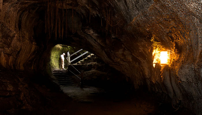Caverna da Thurston Lava Tube - Parque Nacional dos Vulcões do Havaí