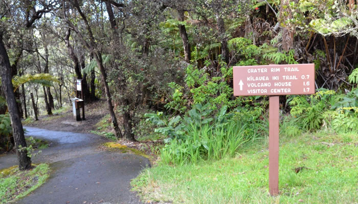 Trilha Crater Rim Trail - Parque Nacional dos Vulcões do Havaí