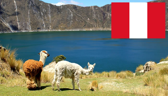 Animais Típicos do Peru - Fotos e Características!