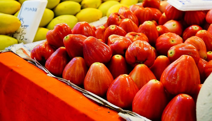 Frutas Típicas do Maranhão: Jambo