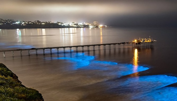 Praias que brilham no escuro: Mission Bay, San Diego