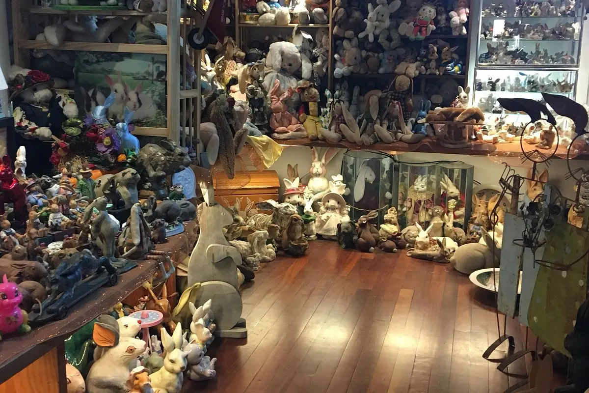 O Museu do Coelho (The Bunny Museum)