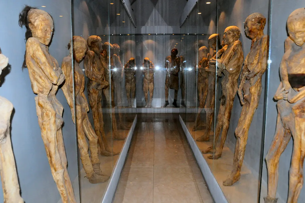 Museu das Múmias