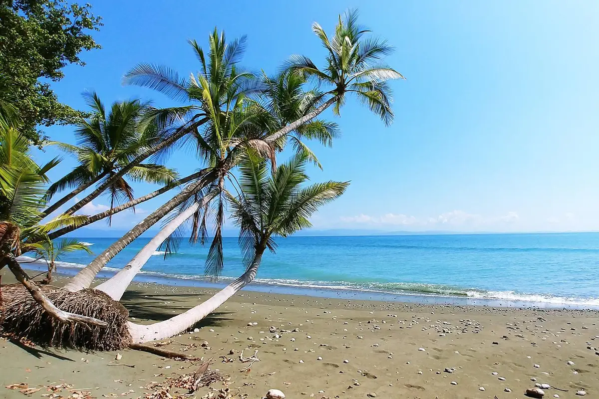 Quando ir para a Costa Rica: melhor época e clima no país