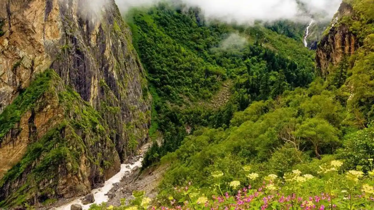 Foto do Vale das Flores (Índia)