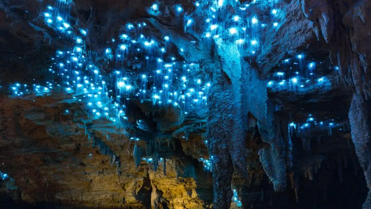 destinos que parecem livro de ficção - Foto das Cavernas Waitomo Glowworm (Nova Zelândia)